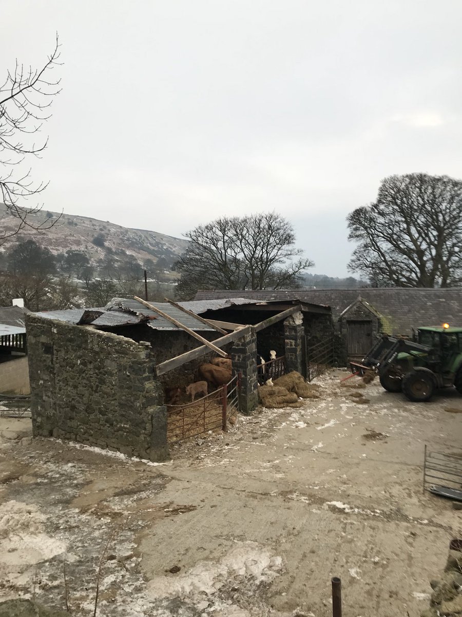 Great service from <a href="/nfum/">NFU Mutual</a> <a href="/NFUCymru/">NFU Cymru 🚜</a> <a href="/sionedllanfor/">Sioned Lloyd</a> this morning with the damage . Farmers friend .
