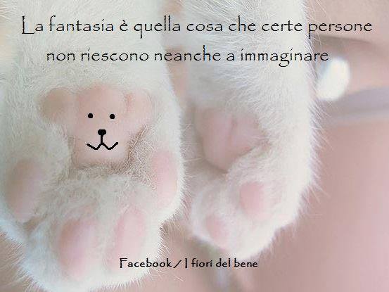 Ifioridelbene_'s tweet photo. Orsetto o zampetta?
#cit #citazionedelgiorno #citazioni #citazione #frase #frasi #frasiitaliane #pensierieparole #gatti #gattini #zampette #gommini #gomminigatto https://t.co/yErmb5Bads