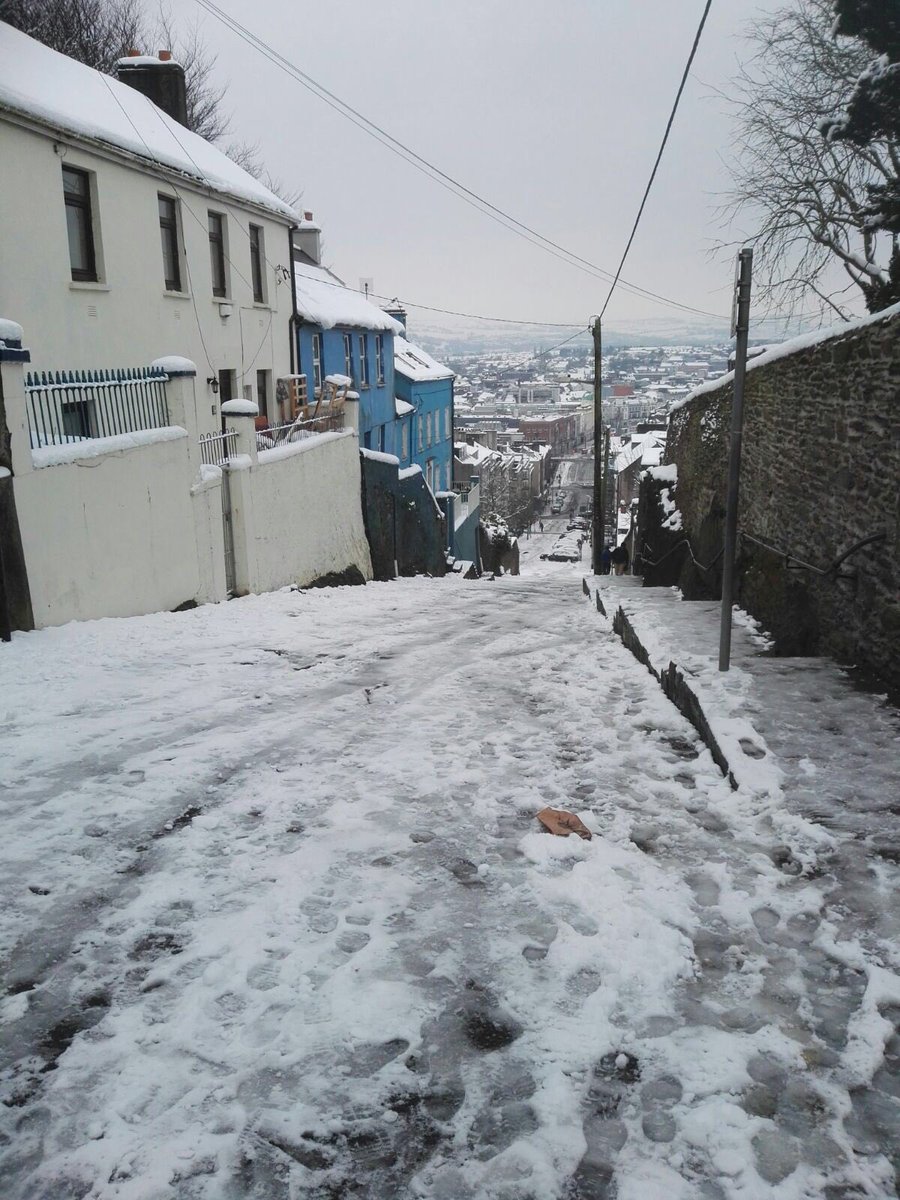 Bruce College tweet media