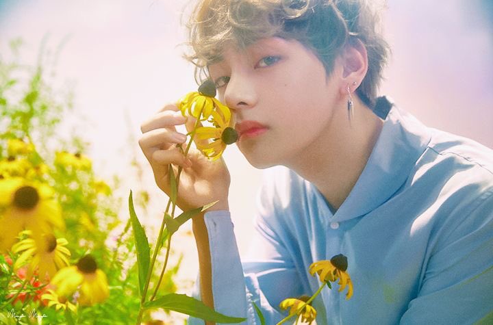 BTS V編 #BTS #BTS好きな人と繋がりたい #防弾少年団好きな人と繋がり