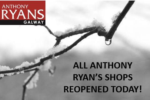 Anthony Ryans tweet media