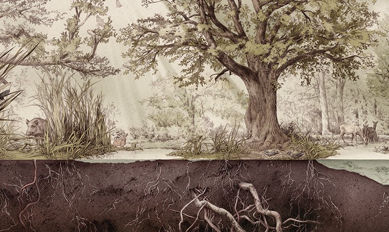 Conoscete il Mu.Bo di Supersano? 
Luogo di cultura che raccolta le evoluzioni dell'antico Bosco Belvedere e come la sua natura ha condizionato la storia delle comunità locali. 
La visita guidata è sabato 10 marzo.  Info 3775341053. #WeAreinPuglia #Salento