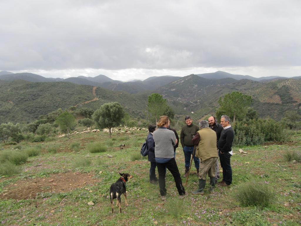 Plan_INFOCA's tweet photo. Hemos tenido la visita en el COR del Instituto da Conservaçao da Natureza e das Florestas, Portugal, interesado por el proyecto RAPCA. Realizamos una salida al campo para ver los trabajos realizados por los pastores con sus ovejas. Limpieza d combistible vegetal d los cortafuegos https://t.co/2UEE8l2XYl