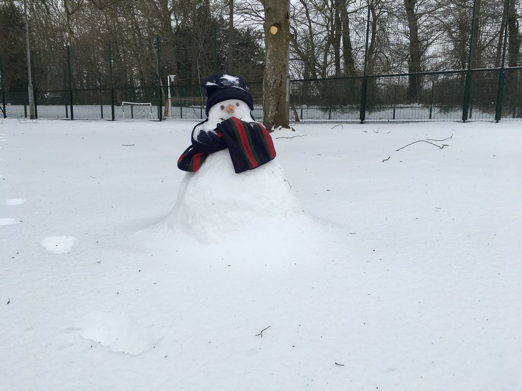 Chestnut_BOYS's tweet photo. Days 1 and 2 of #Timwatch #howlongwillhelast #startingtomelt #snowday https://t.co/T3XhoXNpxI