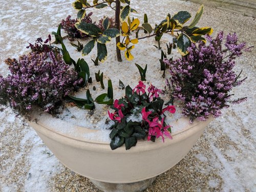 Holburne's tweet photo. @holburne is open today to cheer with the warmth &amp; colour of the Indian paintings of Anthony Fry. We hope that you have a safe journey and enjoy your visit. #bathsnow https://t.co/wiK3eAfY8e