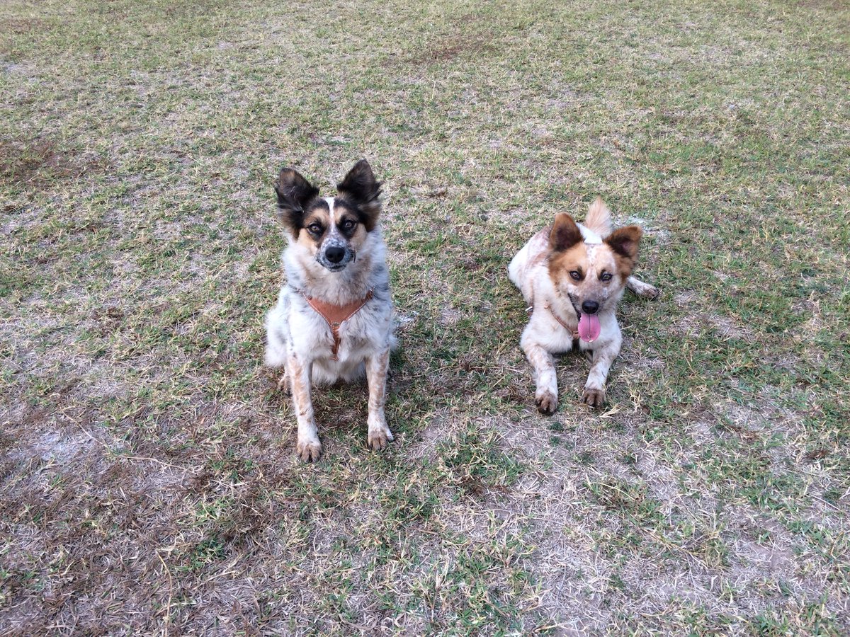 Elizabeth Ruelas (@ruelaselizabeth) | Twitter