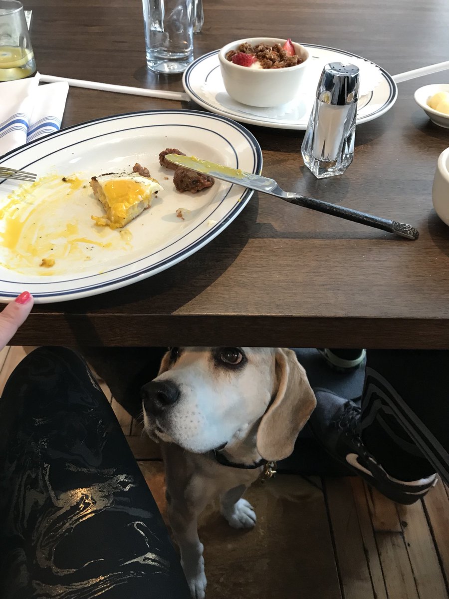 Got to eat breakfast at the hotel with my peeps! Some sausage just down here please!