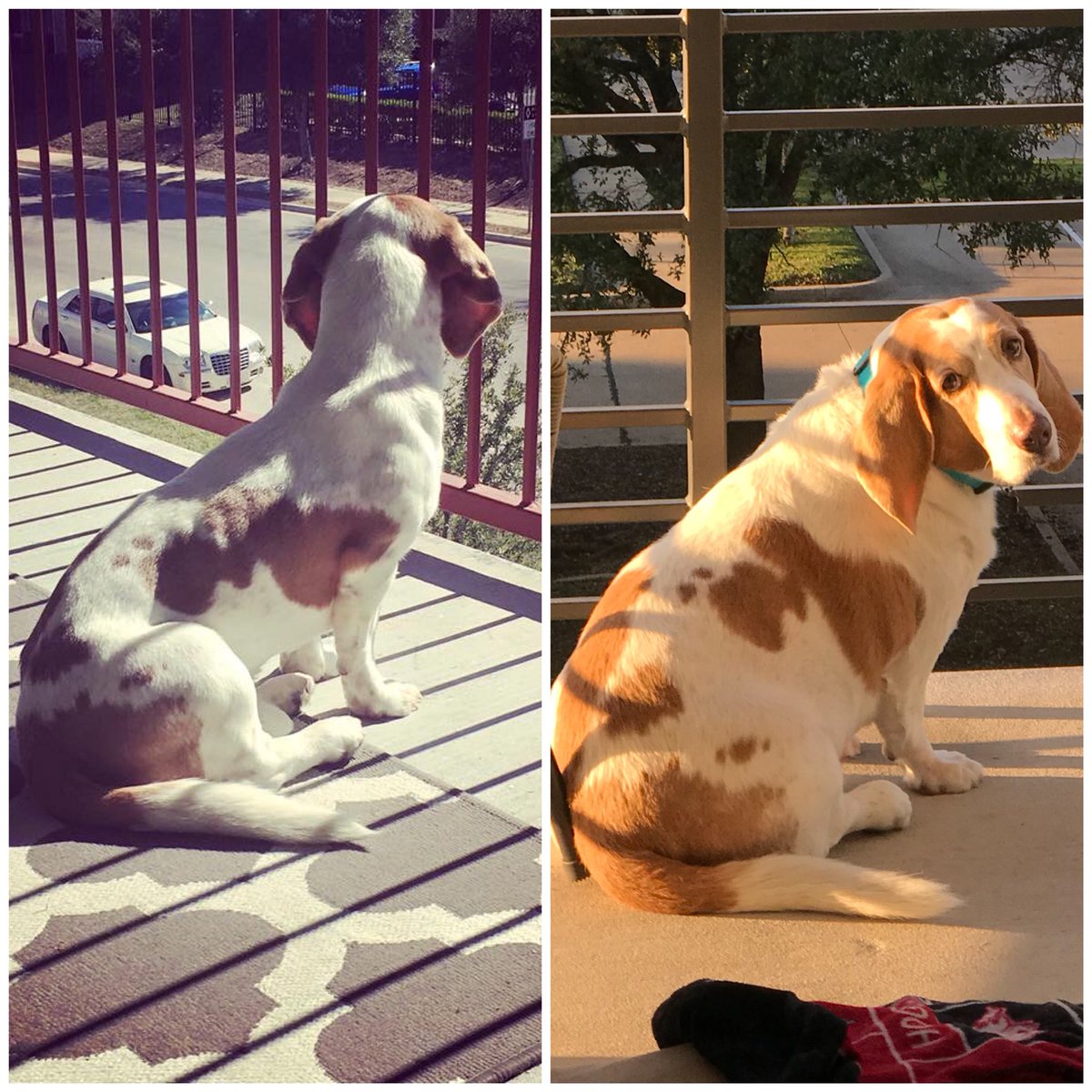 This is why we can’t have pop tarts <a href="/JoleeMockler/">Jolee</a> these were taken exactly two years apart