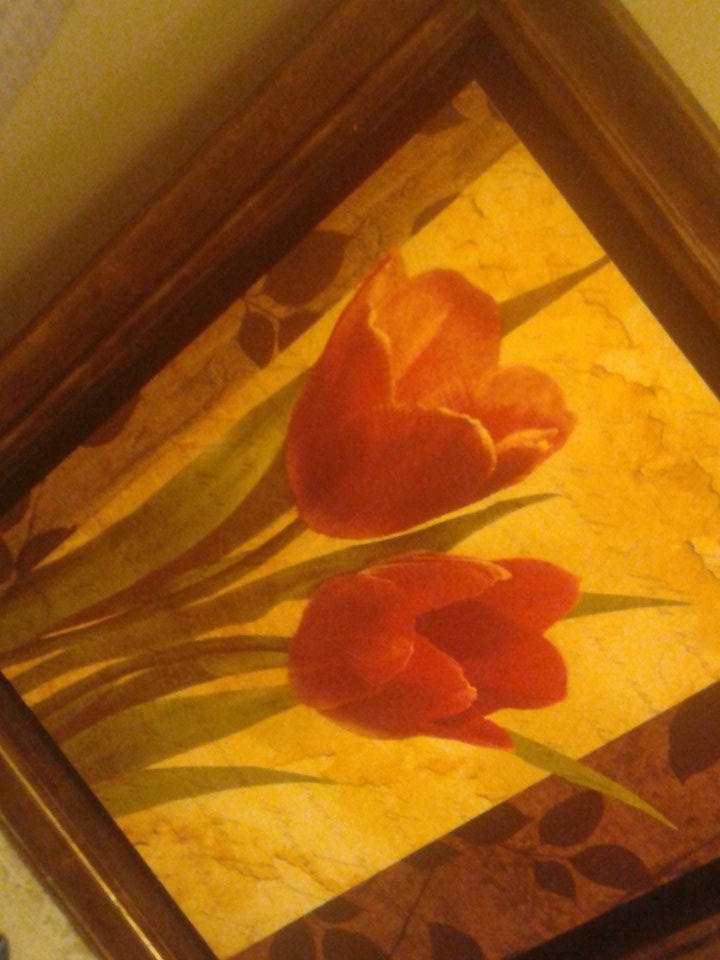 alinah169_ruby's tweet image. 