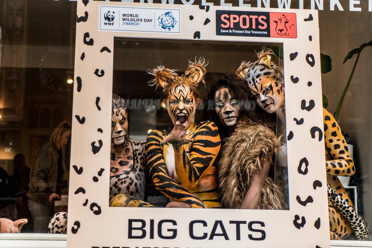 wwfnederland's tweet image. Tigers, cheetahs, leopards and lions are brought to life by famous Dutch bodypainters in #Amsterdam city centre. 🐯🦁🐱#WorldWildlifeDay We love #BigCats (cc @WWF_tigers @stichtingspots @gwwinkel #PromoVisionModels
