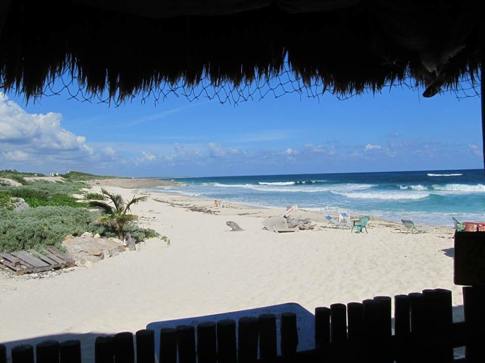 Check this! Wouldn’t you be here right now? Book at cozumelbarhop.com.          #traveling #tourtime #greatjob #beachlife #Cozumel #BestPicture