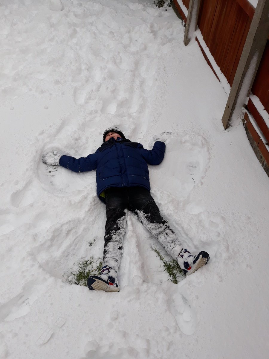 lddowson's tweet photo. @JesmondY2 Max enjoying the snow! https://t.co/Vb0g7nz0p1