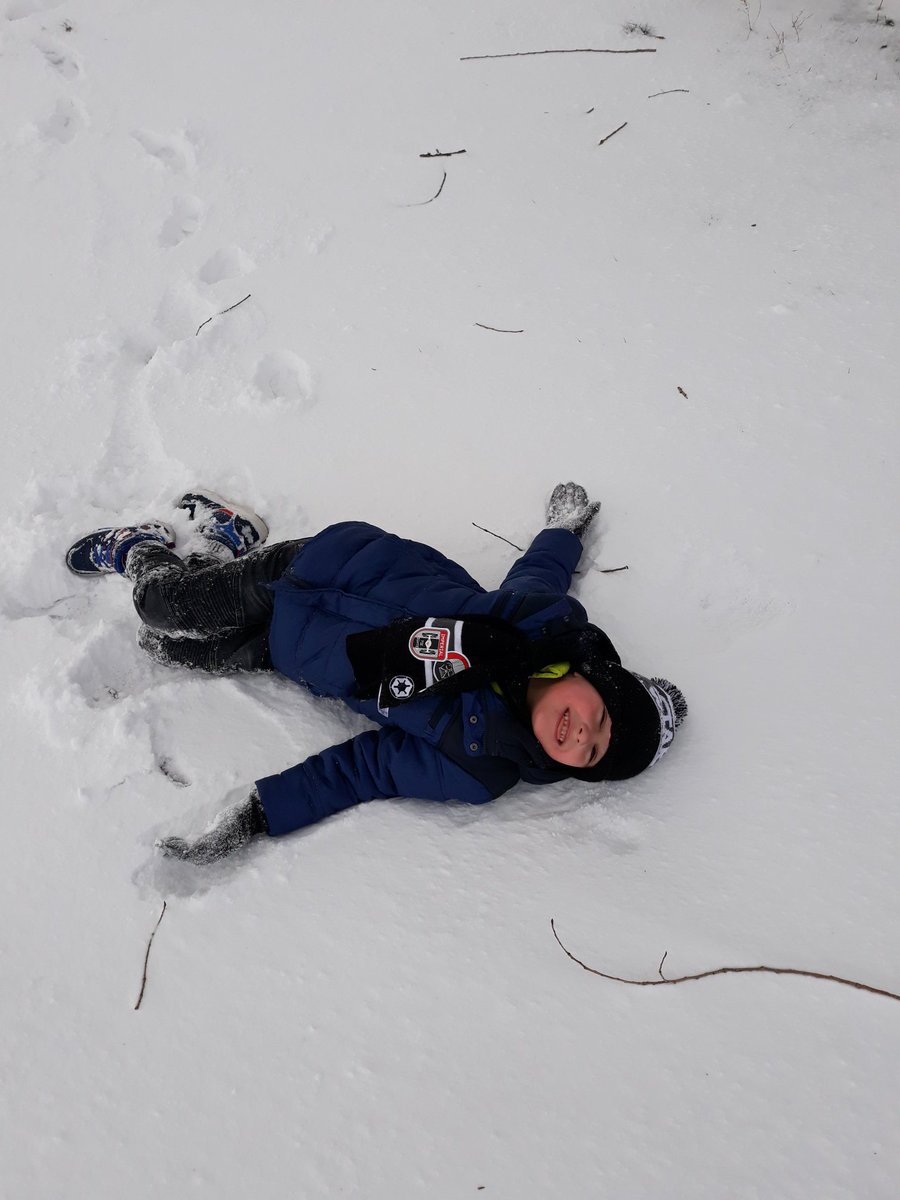 lddowson's tweet photo. @JesmondY2 @jesmond_gardens More of Max enjoying the snow! https://t.co/0SmWxyugEd