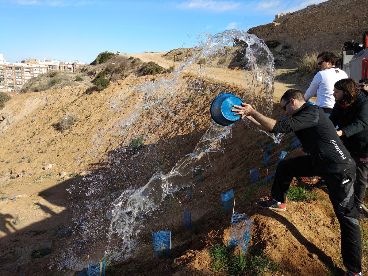 JMCCartagena's tweet photo. Tenemos que regar💧por nuestra cuenta lo #reforestado🌳 en el Castillo de los Moros ya que @psoe_ct y @AnabCastejon abandonan el compromiso de mantenerlo ❌🌱🌍 desde el #gobierno municipal. #Vergüenza https://t.co/E4K7R8XtjS