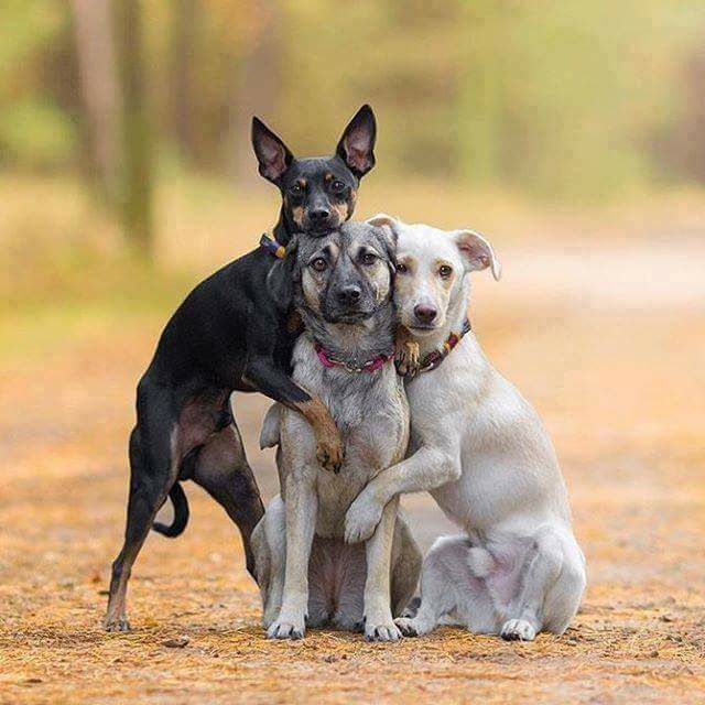 nomsprenoms2025's tweet image. Un mot pour cette famille