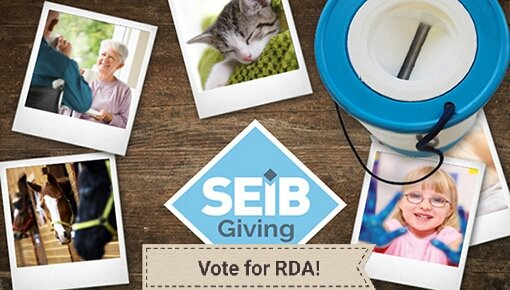 Snowed in? Bored? Why not open that email from @SEIB_Equestrian @SEIB_Insurance and Vote for RDA! Hurry voting for the  SeibGiving £50k grant ends 7 Mar. All policyholders should have received a voting link email. Thank you!!