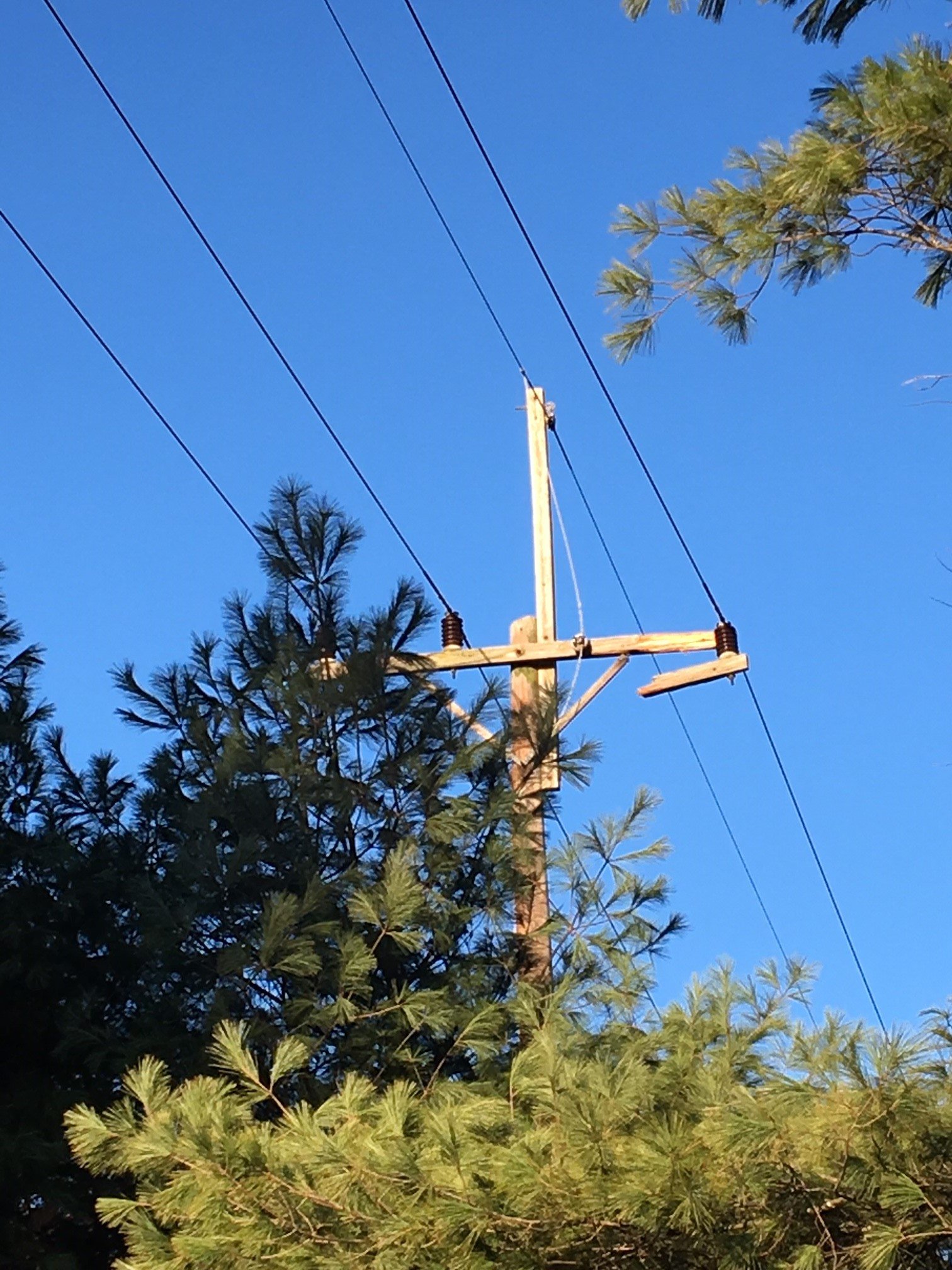 SVEC on Twitter: "Here are some examples of what crews are ...