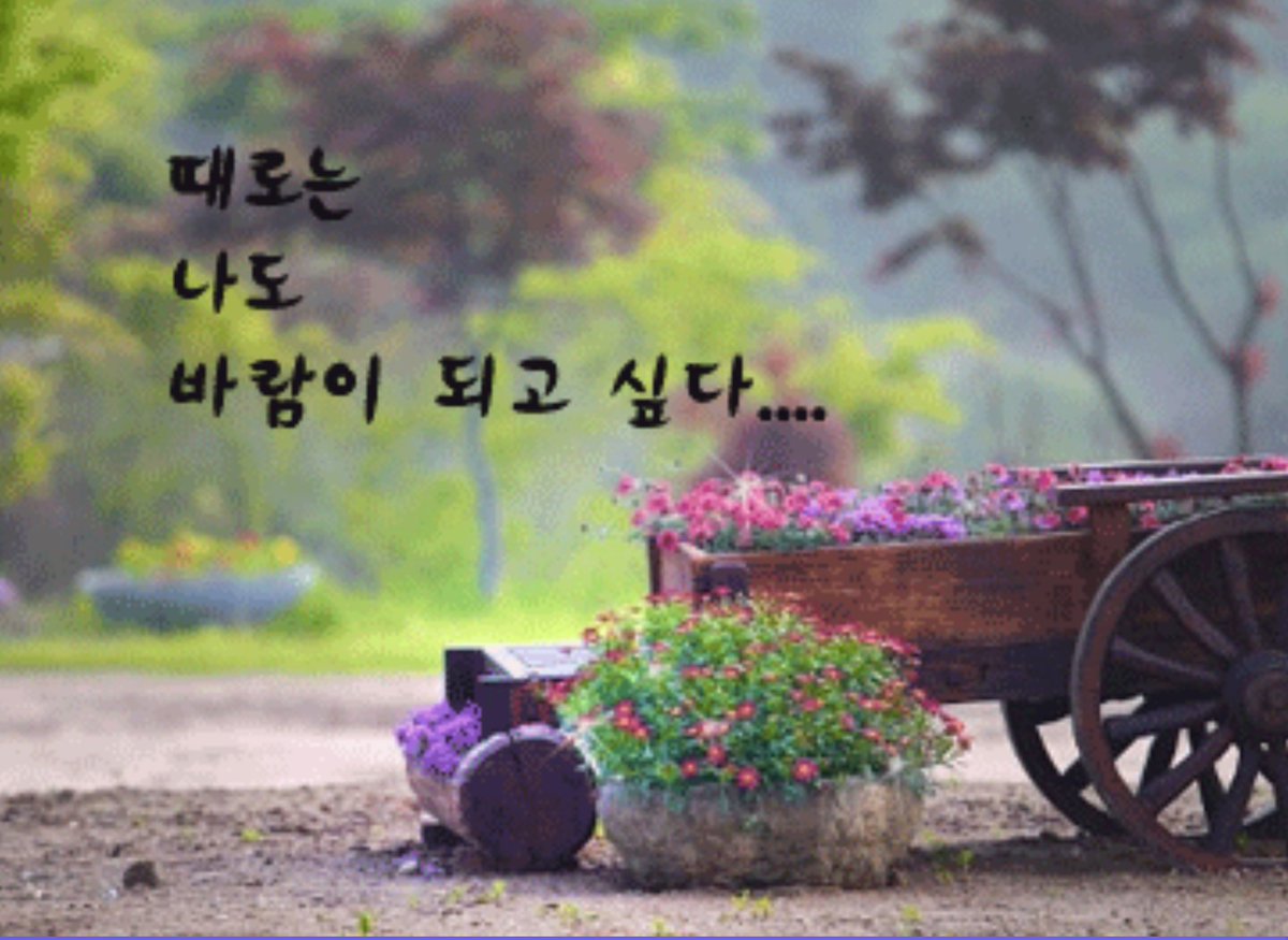 늘 푸르게 살라 한다.

수평선을 바라보며
내 굽은 마음을 곧게
흰 모래를 밟으며
내 굳은 마음을 부드럽게

바위를 바라보며
내 약한 마음을 든든하게
그리고
파도처럼 출렁이는 마음
갈매기처럼 춤추는 마음
늘 기쁘게 살라 한다.