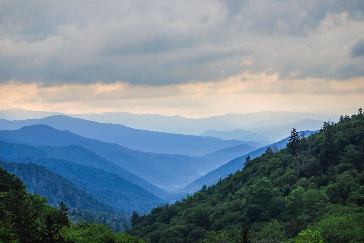 Best USA National Parks to Visit in Spring #FindYourPark #NPS101 #NationalParks #Adventure #GreatSmokies <a href="/GreatSmokyNPS/">GreatSmokyNPS</a> <a href="/VisitNC/">Visit North Carolina</a> <a href="/GoParks/">goparks</a> buff.ly/2tcCSGo