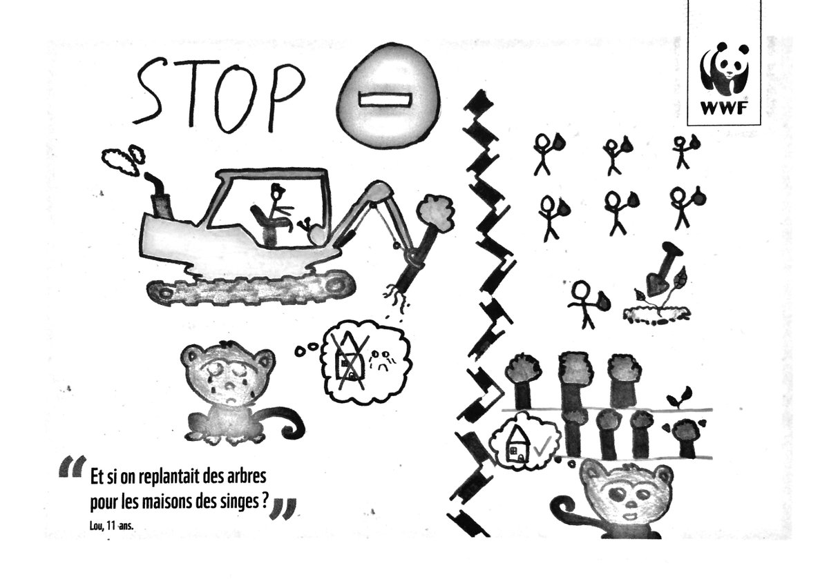 WattAdvice's tweet photo. Petit dessin de Lou (11 ans) qui propose une action concrète pour protéger les singes. #WWF https://t.co/BssQkxXDV0