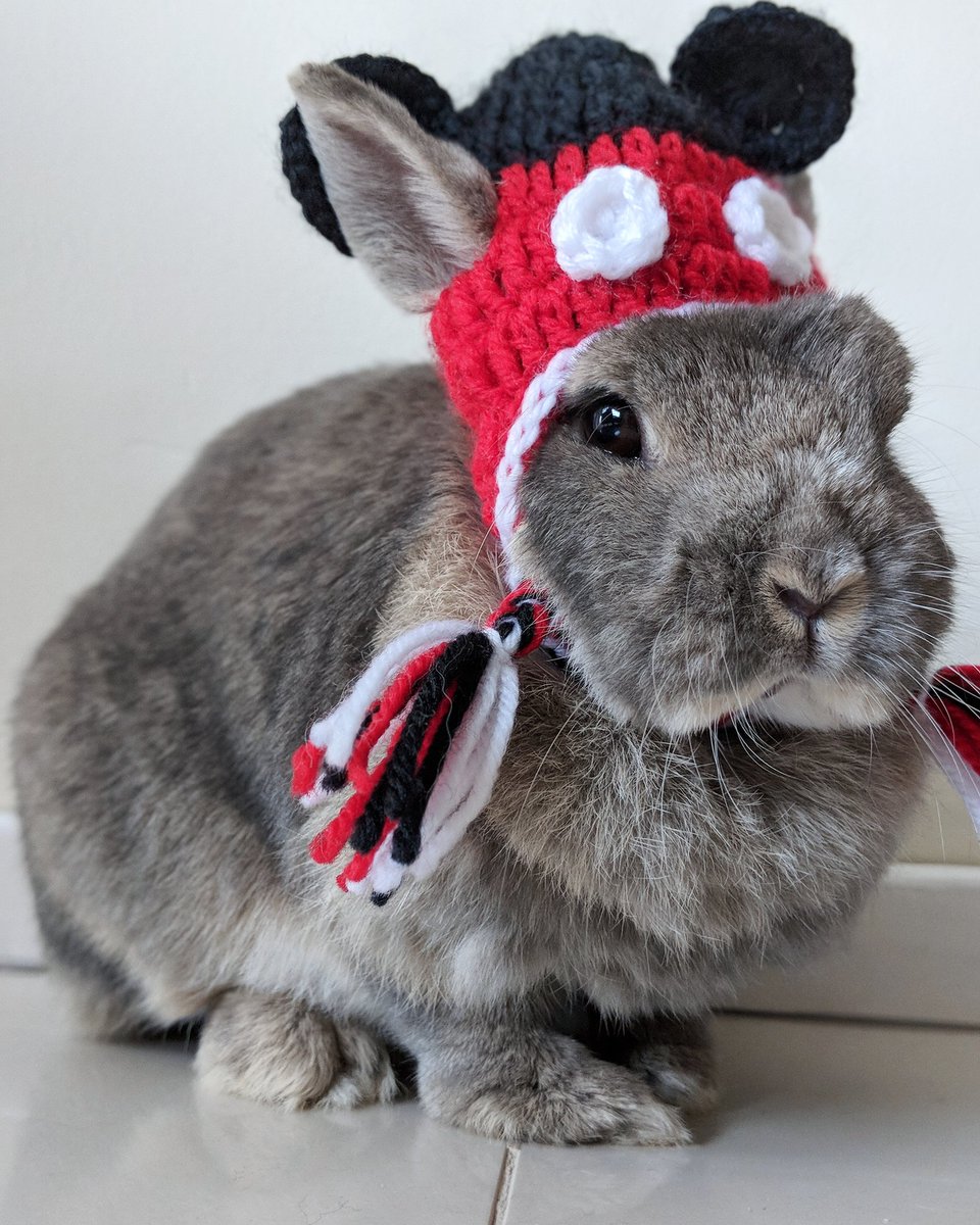 steph_vivienne's tweet image. When a bunny is more photogenic than you🐰