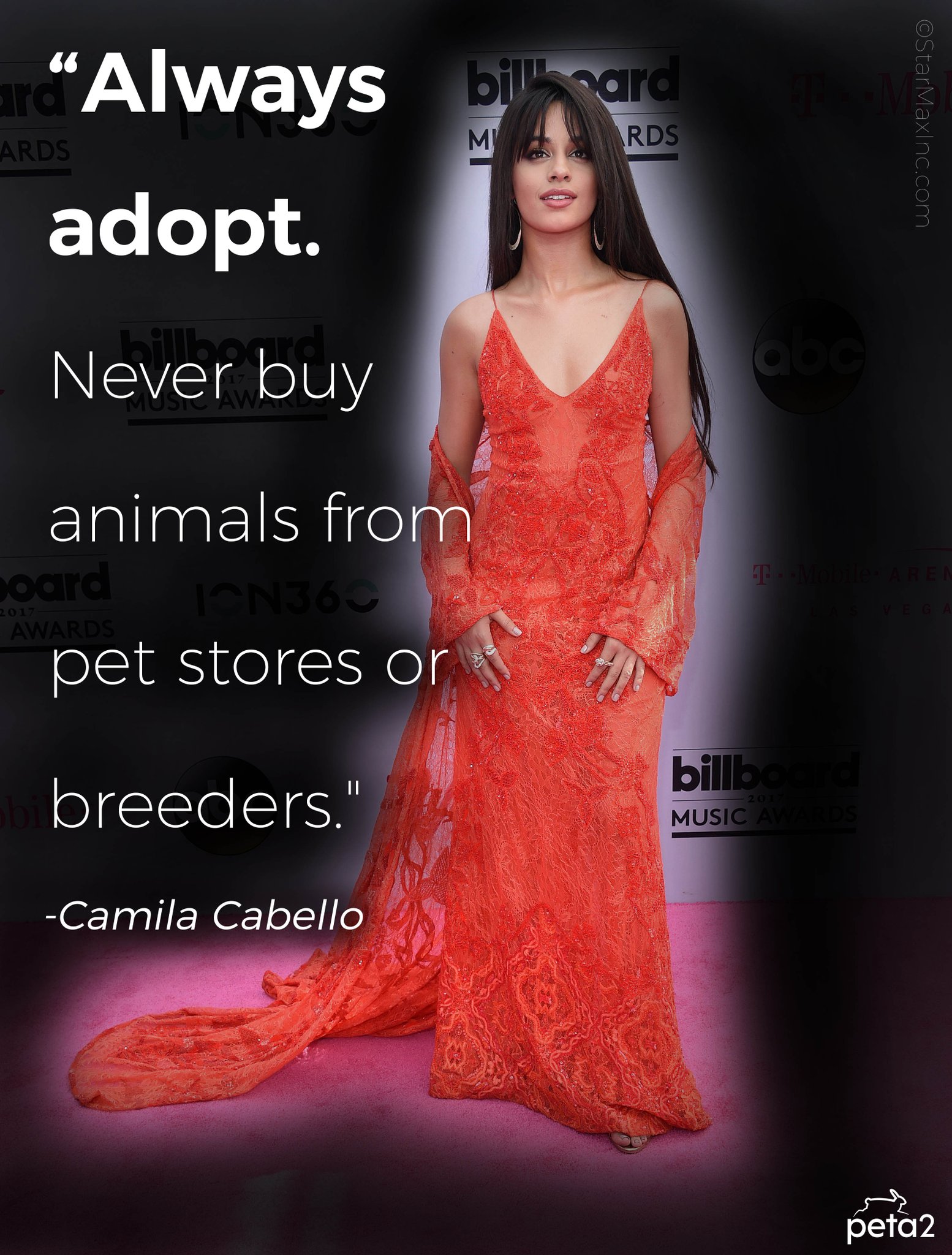 She\s an ACTUAL angel for animals     Happy Birthday to the gorgeous & talented   