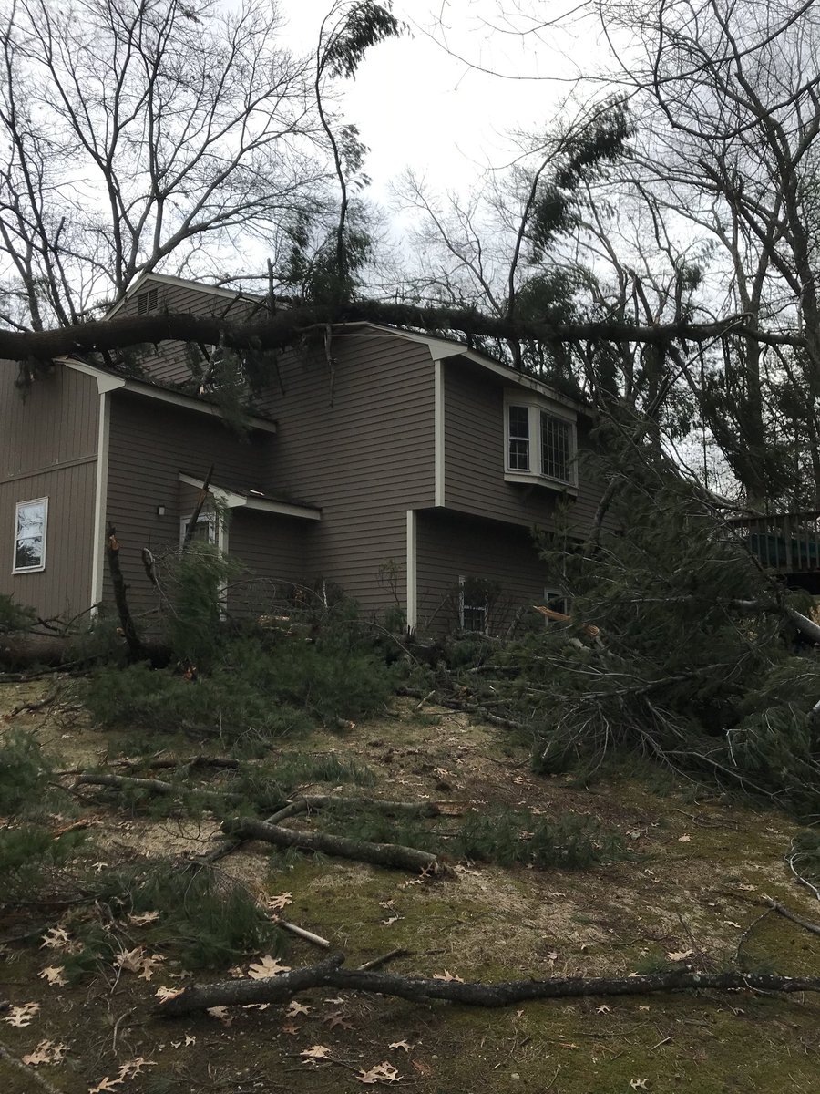 FerrisTreeSvc's tweet image. In Andover Today removing trees from Houses all day from the Early March Storm.