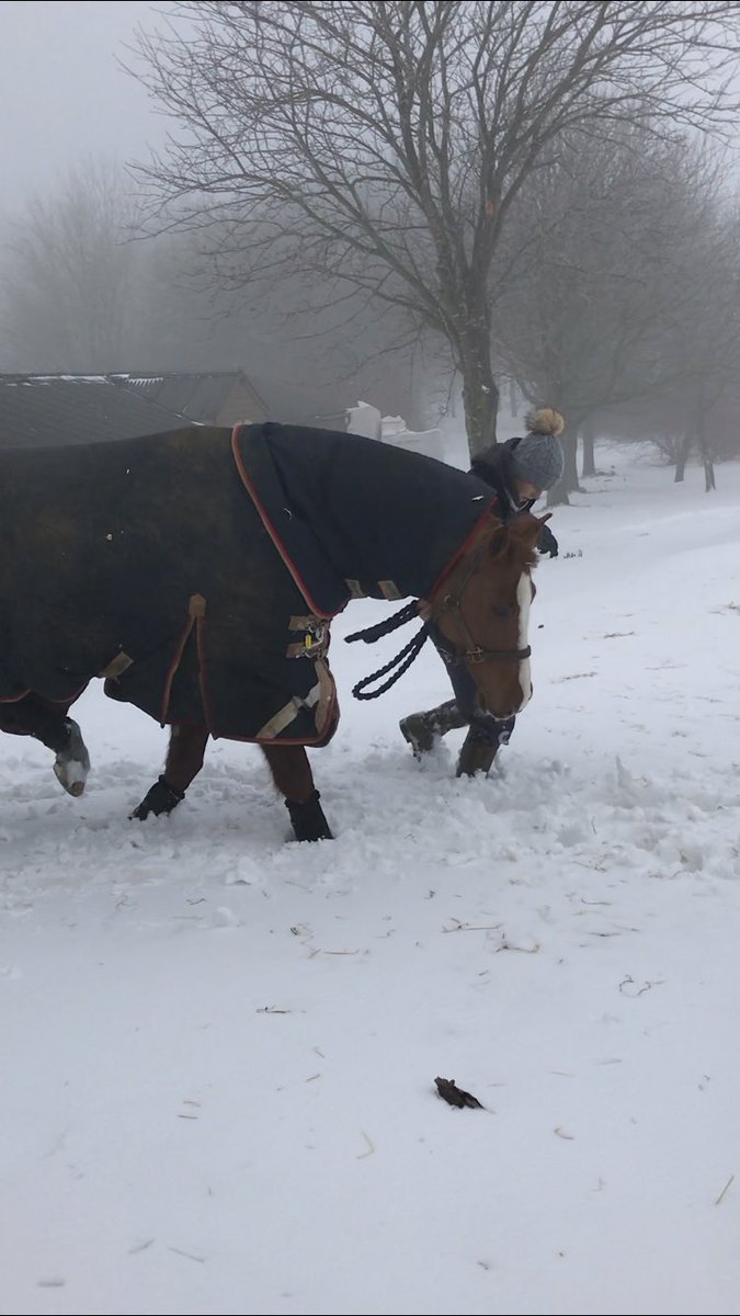 Definitely over the snow! Fab team effort clear our <a href="/ClaydonHorse/">Claydon Horse</a> of drifts! If it could melt so we can get ready for Oasby that would be👍🏼