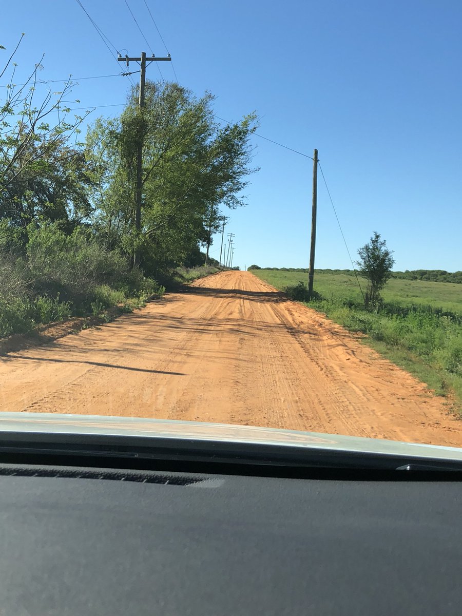 RachelFerrucci's tweet image. When you are on a drive in Florida you must stop at an orange grove! Our 2018 Prius did well down the powdery dirt road #toyotagrandslam @Toyota  #toyotapartner with @SpeedBeautiful