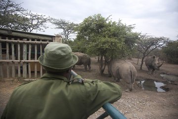 Ver imagen en Twitter