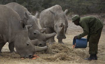 Ver imagen en Twitter