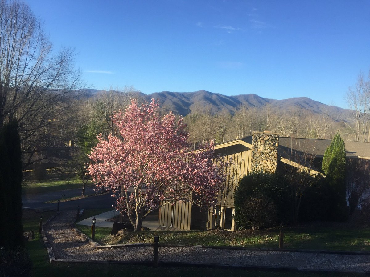 DFLrunner's tweet image. Good luck to everyone racing through these mountains today! #Fontandango #happyplace