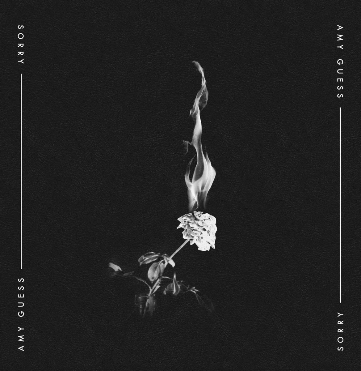 DEVISEMAG's tweet photo. From this week's Best New Music: The internet just needs to catch up to @Amy_Guess | https://t.co/WPl3SAimag https://t.co/yZ592yK1od