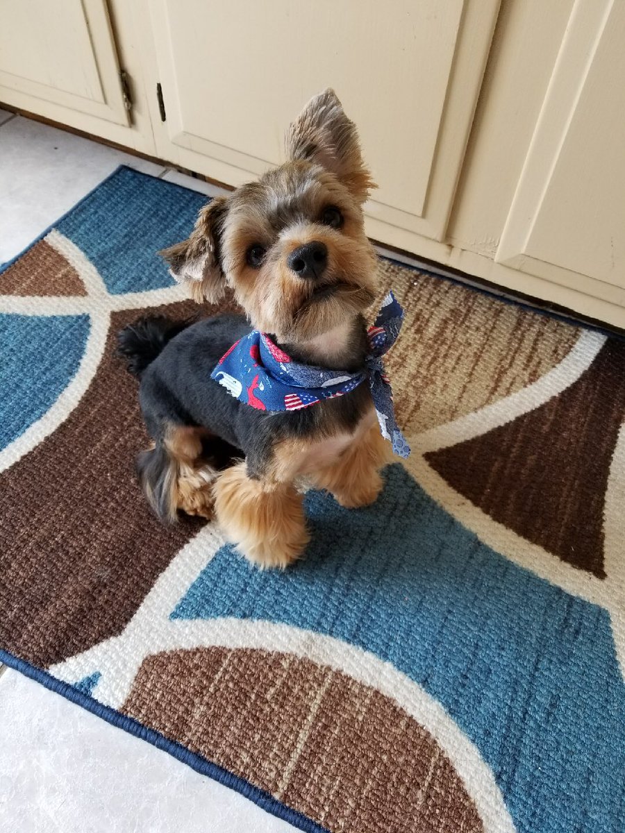 So I definitely became best friends with Miles #ACGG #OHPA #IHX <a href="/IHXpets/">Pets of IHX</a> @juswen06