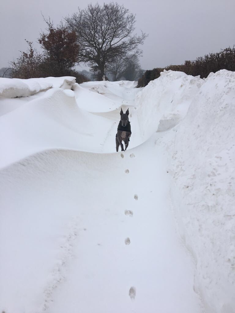 Diziem's tweet photo. Forgotten Norfolk taken this afternoon .....#beastfromtheeast not over for some https://t.co/ubD18258Io