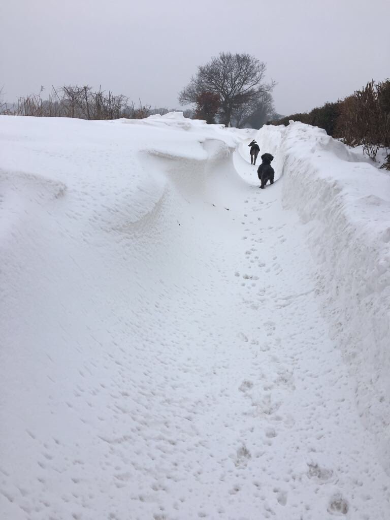Diziem's tweet photo. Forgotten Norfolk taken this afternoon .....#beastfromtheeast not over for some https://t.co/ubD18258Io