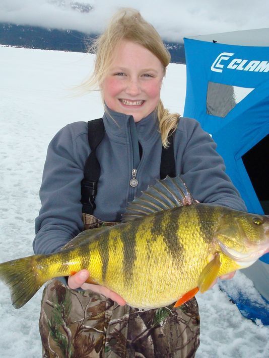 Thats a monster perch..never seen such thing before...Pleased RETWEET 
  #fishing #weekend #icefishing #fishingtime #hunting