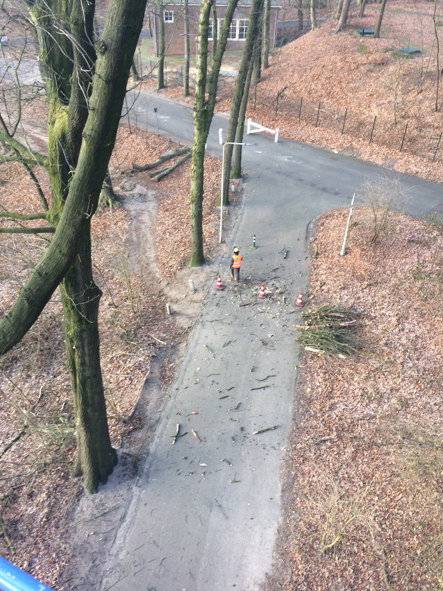 LBoomService's tweet image. Het was de afgelopen weken wel fris, volgens sommigen erg koud. Maar gewoon door kunnen werken voor een klant in Arnhem. Veiligheidsdunning en onderhoudsnoei van de bomen. En zelfs met deze kou al een luchtballon gezien.