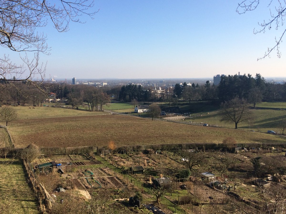 LBoomService's tweet image. Het was de afgelopen weken wel fris, volgens sommigen erg koud. Maar gewoon door kunnen werken voor een klant in Arnhem. Veiligheidsdunning en onderhoudsnoei van de bomen. En zelfs met deze kou al een luchtballon gezien.