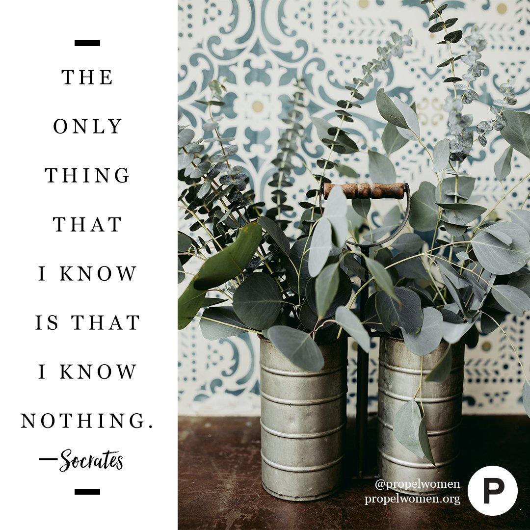 PropelWomen's tweet photo. You can't let what you don't know intimidate you from learning more. Only foolish people don't believe they have areas to grow. —@SJakesRoberts https://t.co/hrpIvQOHzZ