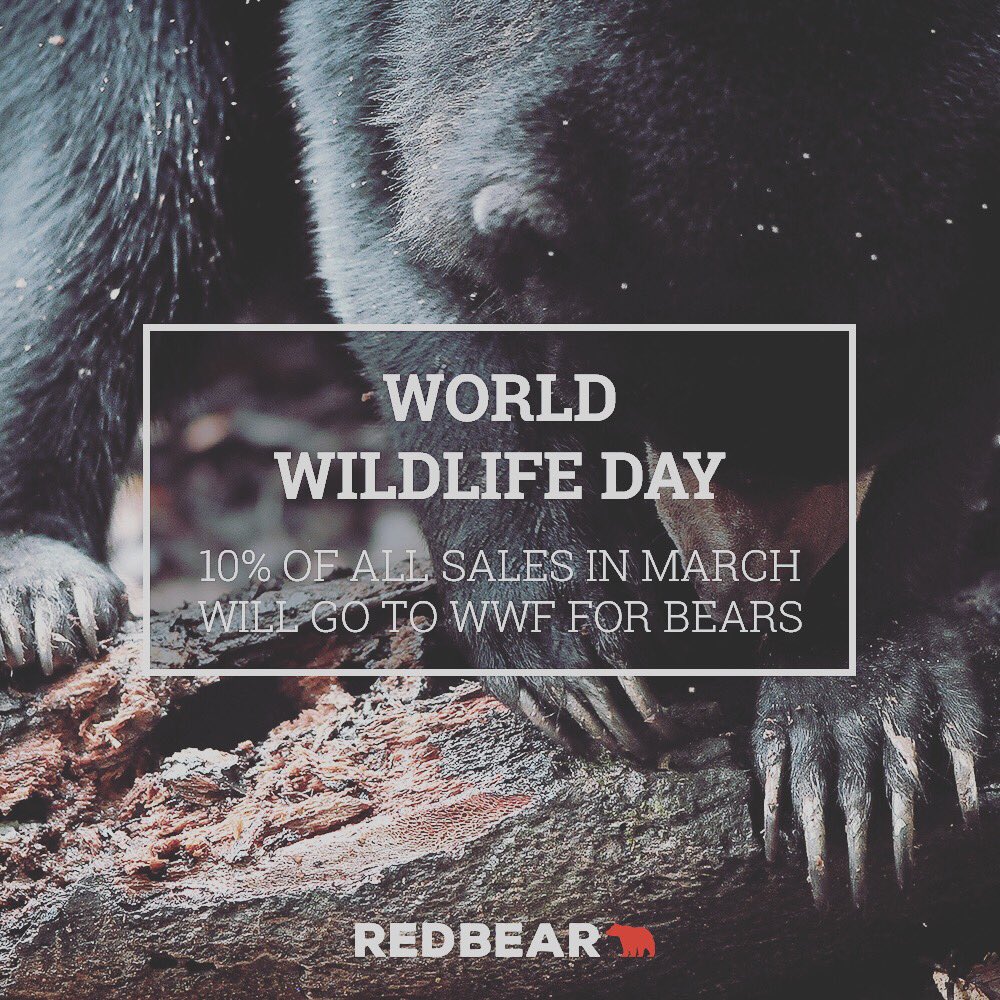 redbearleather's tweet image. Support your fellow Bears this March!! 😊🐻

redbearleather.co.uk