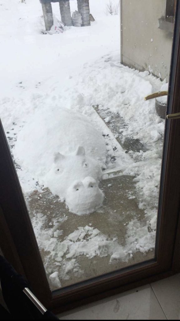 Deans1982's tweet photo. @clarepeople the hungry snow hippo ! https://t.co/mBANpIwgoU