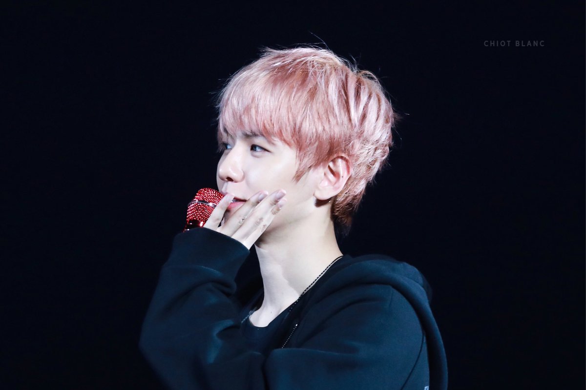 CHIOT BLANC 시오블랑 tweet media
