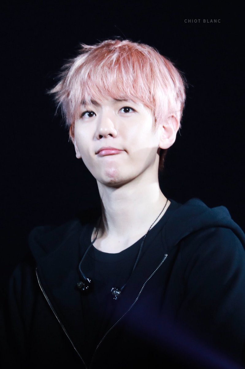 CHIOT BLANC 시오블랑 tweet media