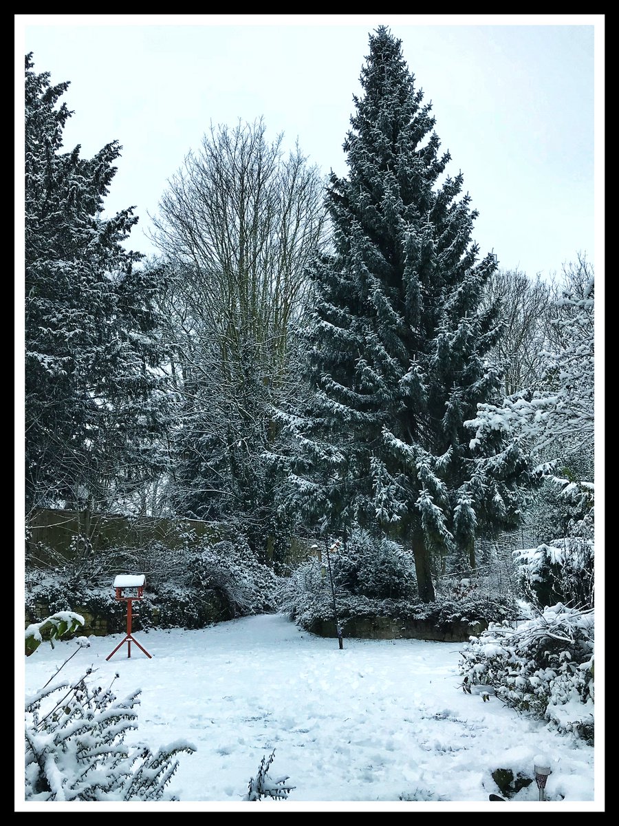 HikeMountTrail's tweet photo. Snowy scenes. Stay warm everyone! #wrapup #staywarm https://t.co/f7vZX5Fhsu