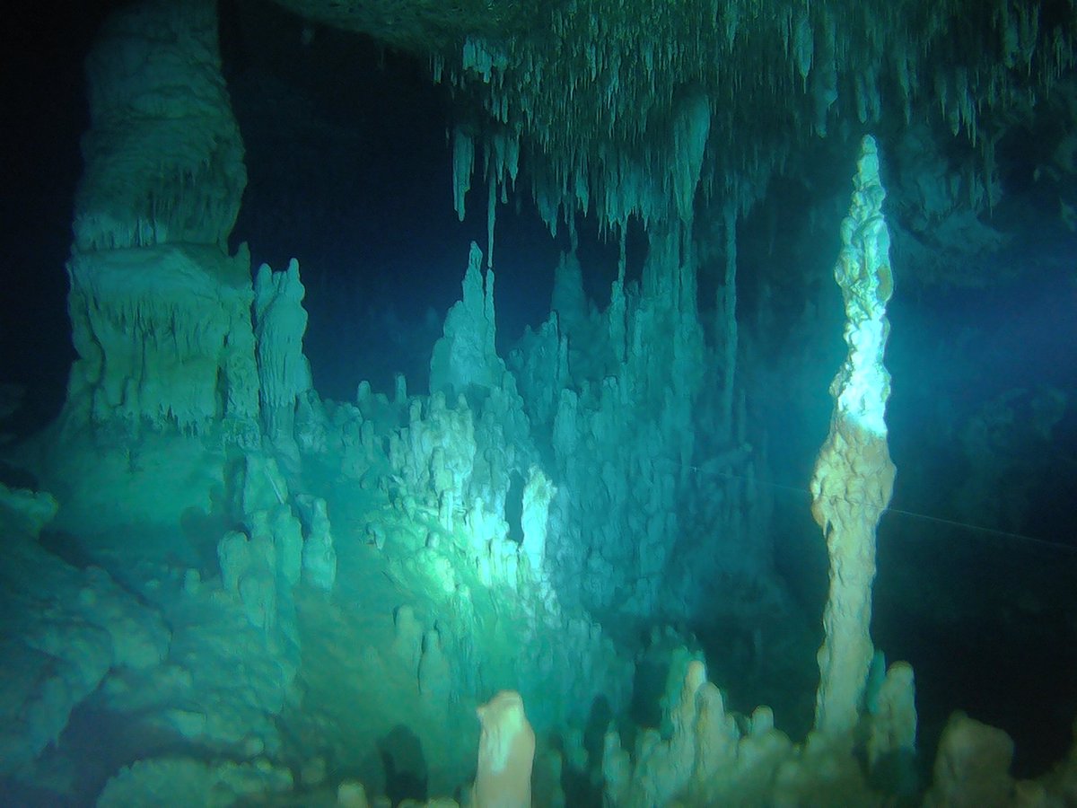 planetscubamex's tweet photo. GOOD WORK, AWESOME DIVE AND GOOD TEAM WORK!
#cavediving #cavetraining #fullcavecourse #fullcavediver #planetscubamexico #puertoaventuras #bestdiveshop #rivieramaya #cenotes https://t.co/3IH4GNkWK2