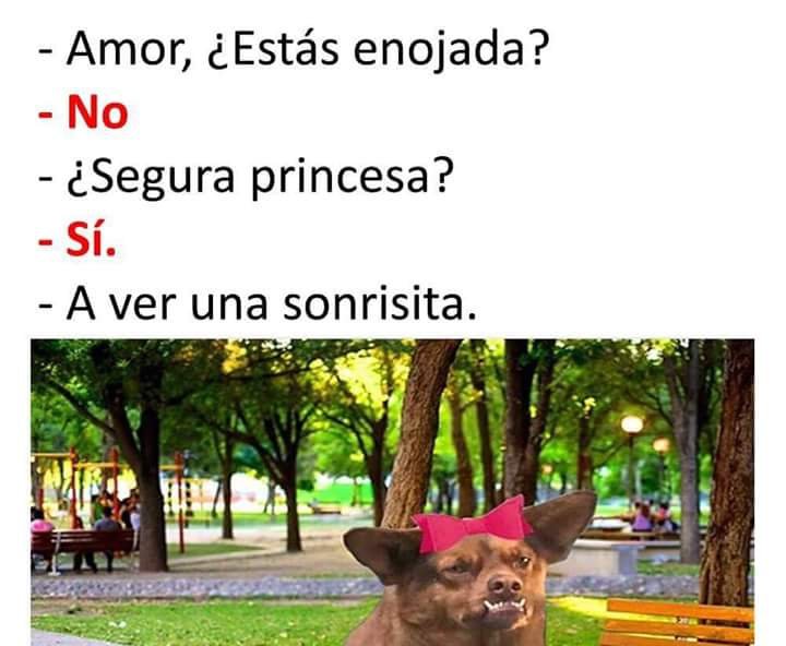 KillerMari0's tweet photo. Mira nada mas!
#Memes #CosasQueOdioHacer #EllosEstanAqui #LaVozKids2 #YoNoDenuncioPorque #Vina2018 #YoRetoA #DeboDecir #GenteDeZona #AlAngulo #PequenosGigantes #FelizSabado #BuenSabado #SabadoDeGanarSeguidores #SabadoSensual #NoHayDiaQueNo #NoPuedesSerMiAmigoSi https://t.co/h8wzatETrD