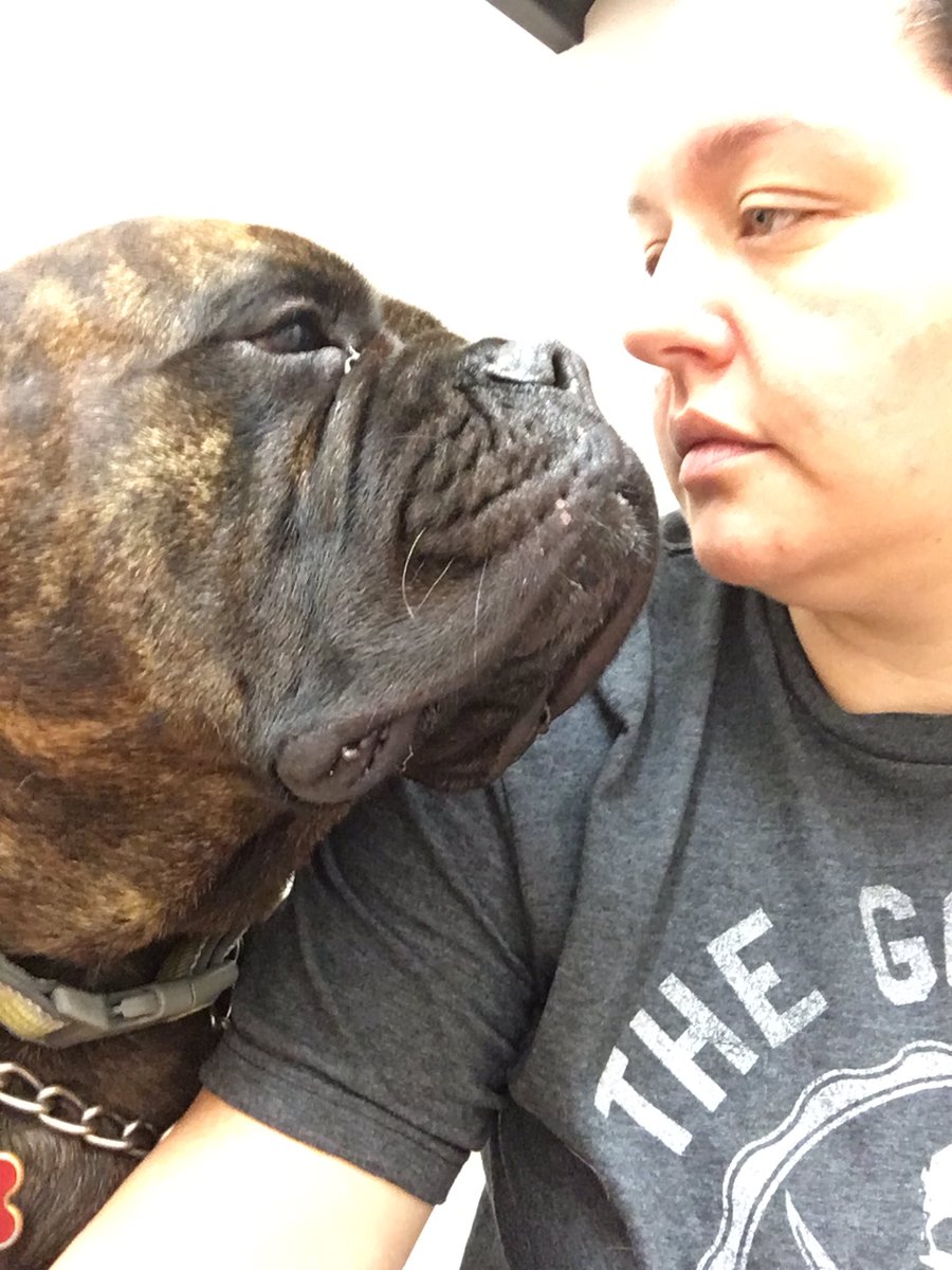 MamaMawyer's tweet photo. Sitting at the vet... again. #poorMaggie #doggonotfeelingwell #bullmastiff https://t.co/SdaOTfU27O