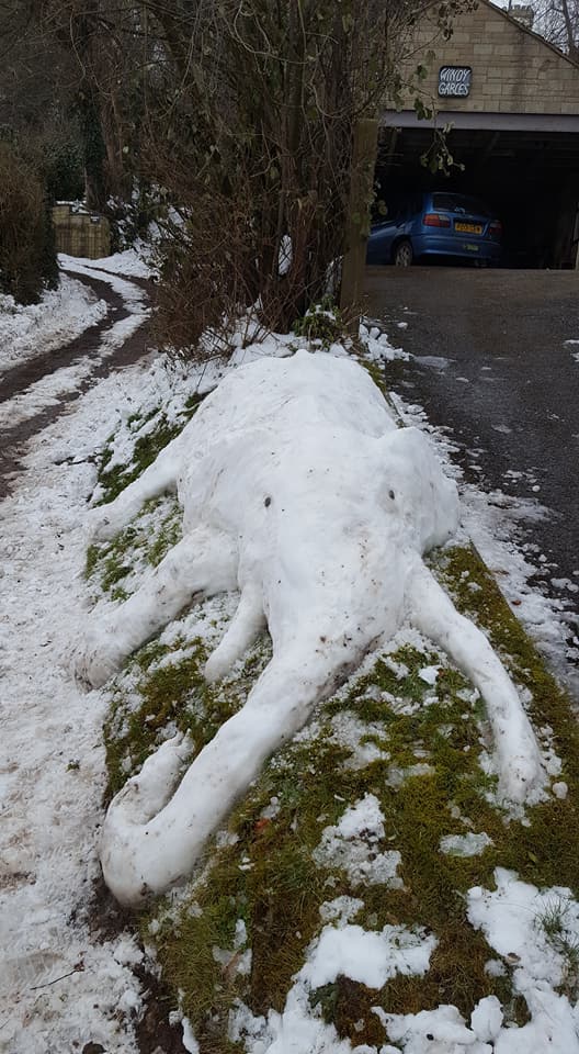4Apes's tweet photo. On #WorldWildlifeDay the #BeastfromtheEast blew in a #snorangutan - first sighting in #Stroud - and an adult #snowelephant. Wintry reminders of the need to protect #orangutans and #elephants as well as #BigCats. https://t.co/6wSbbsWL0k