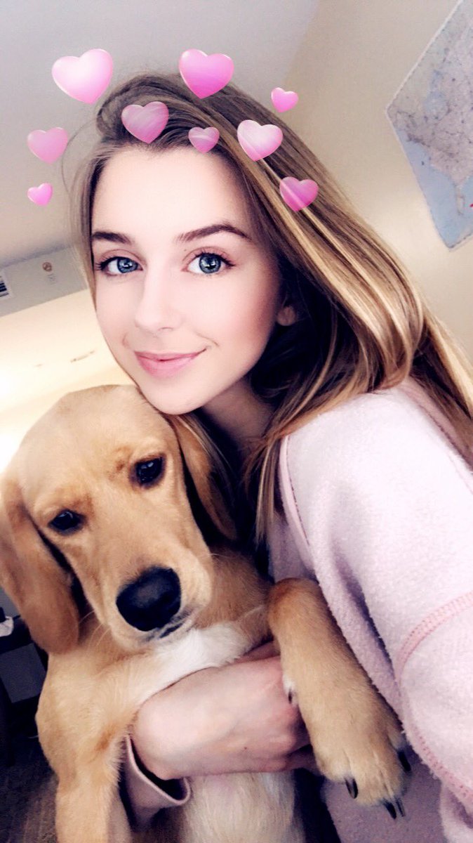 abbsw1998's tweet photo. Last night my roommate got in a wreck &amp; she had jonas with her. Now she is in the ICU and my sweet baby boy is missing. I’m begging everyone to retweet and spread the word to bring him home. It happened in the toccoa GA https://t.co/CeiHYMxiSm